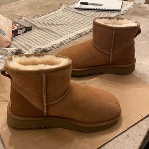 Chestnut Mini Uggs